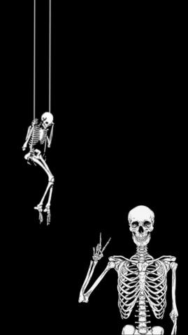 Skeleton Friends Skeletons Wallpaper Aesthetic Skull