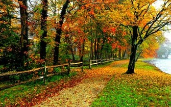 Fall Colors Wallpaper