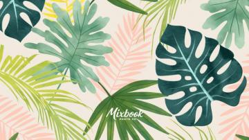 Beautiful Zoom Virtual Background Mixbook Inspiration