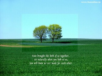 Love Wallpaper Romantic With Quotes Message