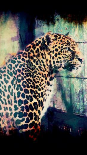 Your Lg G4 HD Male Leopard Wallpaper