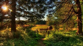 High Definition Nature Wallpaper