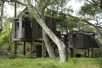 Tree House Wallpaper HD Png