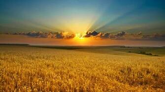 Summer Season HD Wallpaper