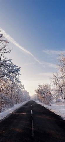 Autumn Winter Road Outdoors iPhone Wallpaper