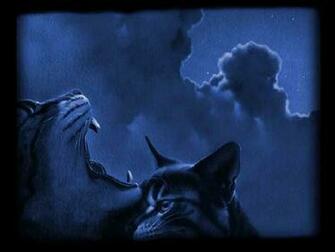 Warriors Cats Background