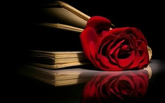 Roses Image Red Rose Wallpaper Photos