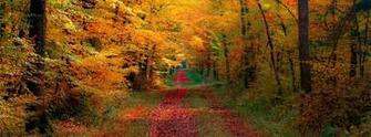 Leaf Fall Cover Desktop Wallpaper And Stock Photos