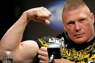 Brock Lesnar Body Image