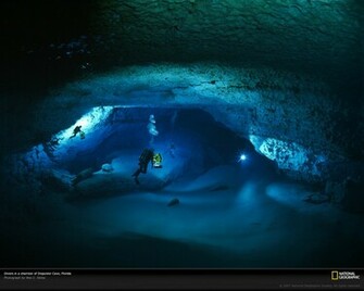 Diving Wallpaper