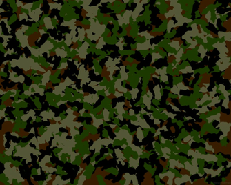 Camouflage Wallpaper For Walls Ideas Butterfly