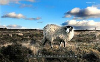Blue Mountain Calendar Desktop Wallpaper Picswallpaper