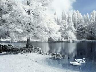 Winter Image Wallpaper Px Mb Picserio