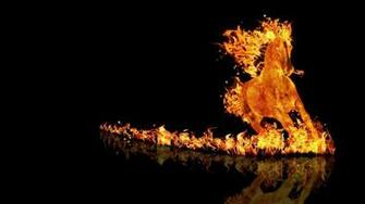 Fireball Horse Wallpaper Fire Y Art