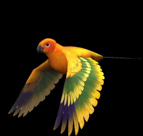Image Pajaro Gif Pc Android iPhone And iPad Wallpaper