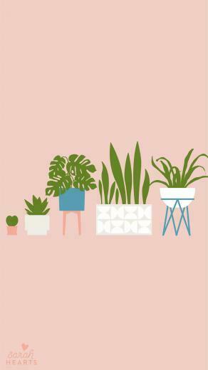 House Plant August Calendar Wallpaper Sarah Hearts