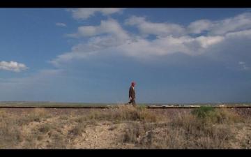 Cranes Are Flying Paris Texas