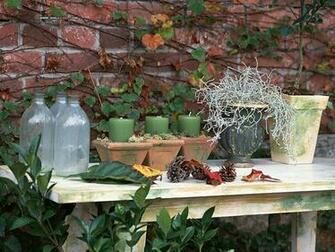 Wallpaper Desk Vegetable Garden Flower