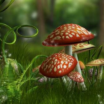 Mushroom Background iPad Background Best Wallpaper
