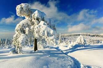Photos That Will Make You Want To Visit The Black Forest In Germany