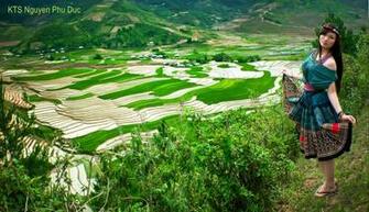 Beautiful Terraced Fields In Vietnam Most Places The