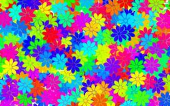Spring Flowers Wallpaper