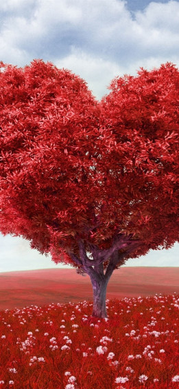 Valentines Day iPhone Wallpaper