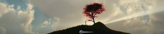 Vertical Resolutions 3d Wallpaper Background Including Dual Monitor