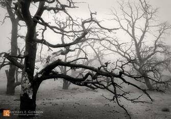 Michael E Gordon Photography Wallpaper For Your Desktop