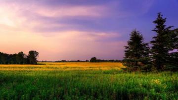 8k Nature Wallpaper On