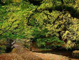 Bridge Silver Falls State Park Oregon Urban Art Wallpaper