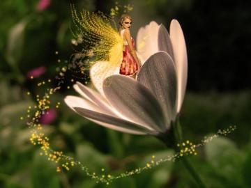 Beautiful Fairy Wallpaper Cute