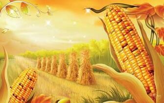 HD Harvest In The Field Wallpaper
