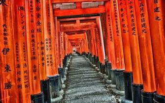 Japan Travel For The Dilan S Design