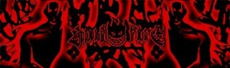 Spitfire Logo By Mr
