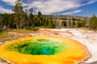 Hot Spring Morning Glory Pool Yellowstone National Park Wyoming