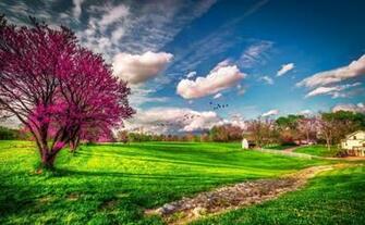Spring HD Wallpaper Early