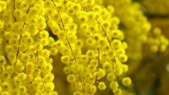 HD Wallpaper Yellow Stuff 3d