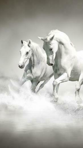 White Horses Majestic Running Water Splash