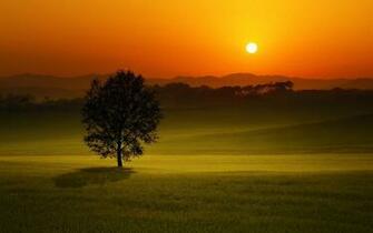 Beautiful Evening Sunset HD Wallpaper