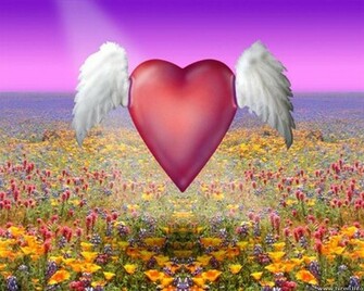 True Love Background HD Wallpaper In Imageci