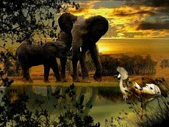 Mother Elephant Little Demoiselle Jpg