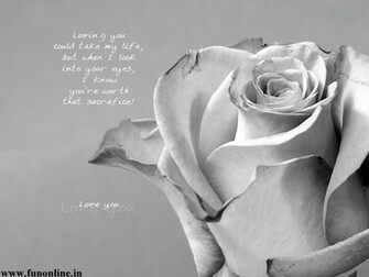 Him Couple Love Quotes Wallpaper Qoutes