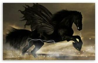All Wallpaper Black Horse New Best HD