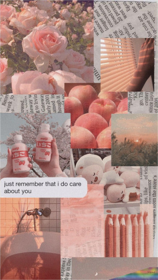 Soft Aesthetic Wallpaper