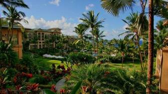 Pantalla Piscina Flores Palmeras Hawaii Hotel Mar Ciudades Foto