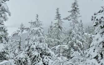 HD Wallpaper Winter Is Coming Nature