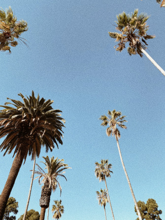 Los Angeles Sky Phone Wallpaper