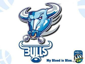 Blue Bulls Wallpaper