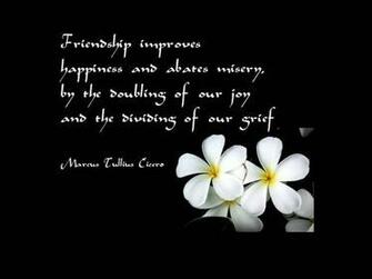 Best Friend Quotes Online Gallery